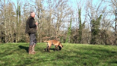 du domaine du bois de la garde - flocon du domaine du bois de la garde